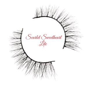 
                  
                    Deluxe Lash Starter Kit
                  
                