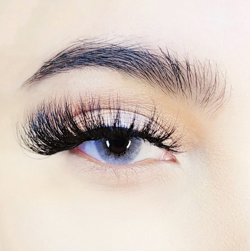 
                  
                    Tempest Trixie- Dramatic Eyelash
                  
                